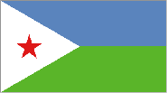 Flag for DJI