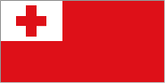 Flag for TON