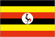 Flag for UGA