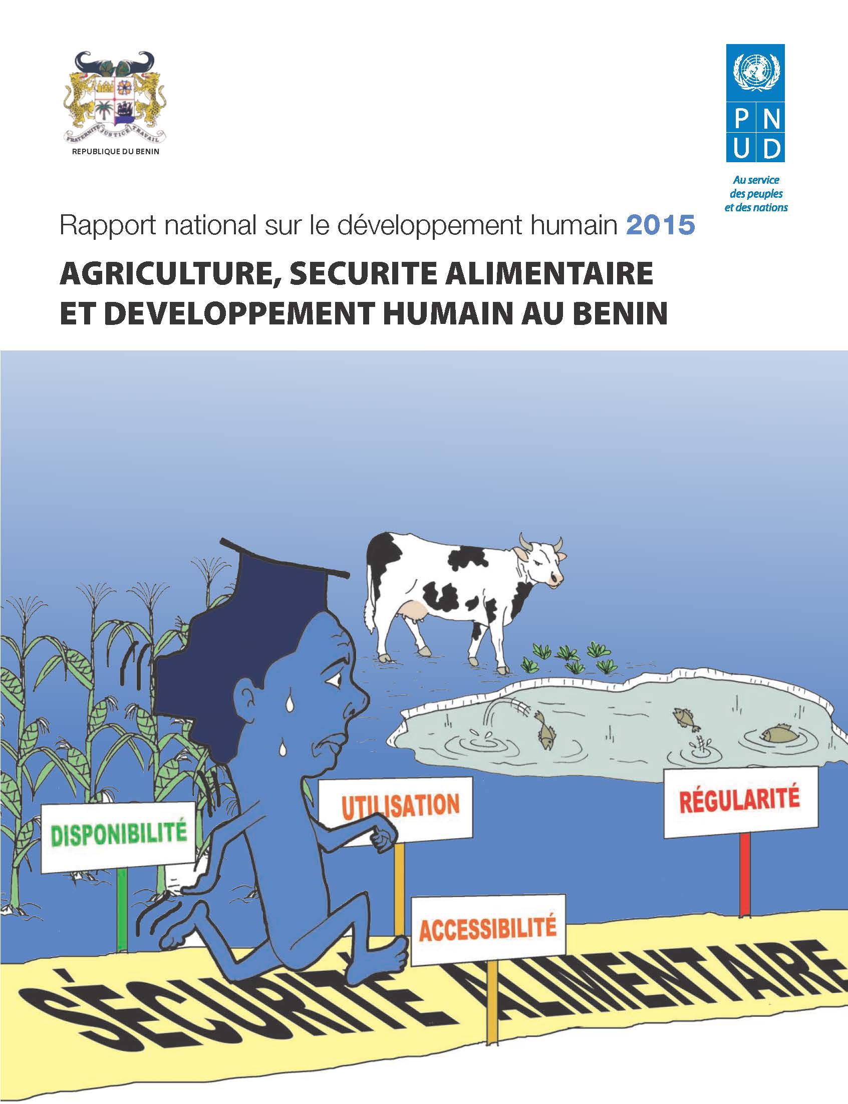 National Human Development Report for Benin 2015