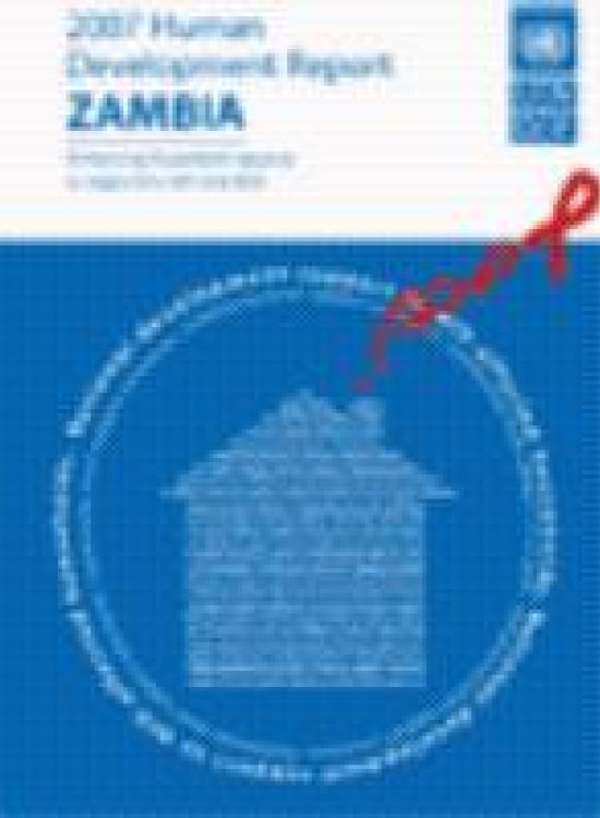Publication report cover: Enhancing household capacity to respond to HIV and AIDS