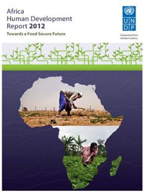 Publication report cover: Africa 2012: Towards a Food Secure Future