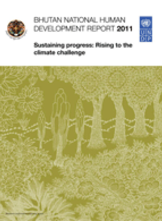 Publication report cover: Sustaining Progress