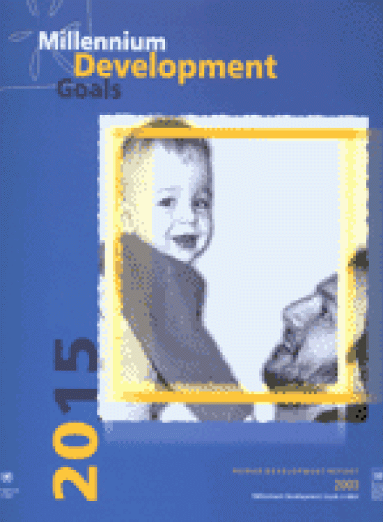 Publication report cover: Millenium Development Goals of Bosnia and Herzegovina