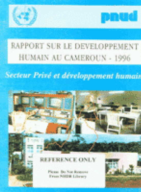 Publication report cover: Private Sector and Human Development