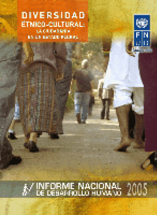 Publication report cover: Ethnic and Cultural Diversity: Citizenship in a plural state