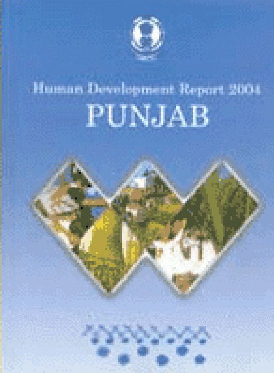 Publication report cover: Punjab Human Development Report 2004