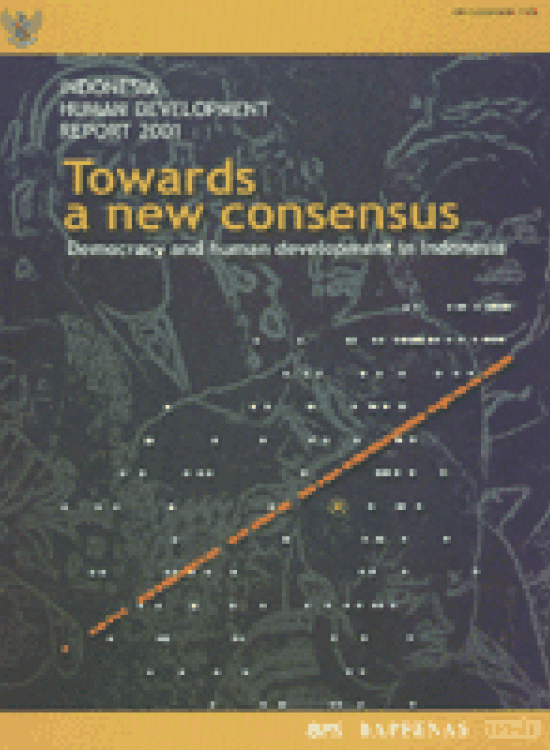Publication report cover:  Towards a New Consensus: Democracy and Human Development