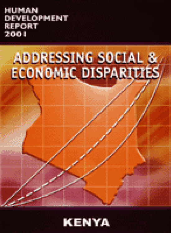 Publication report cover: Addressing social and economic disparities for Human Development