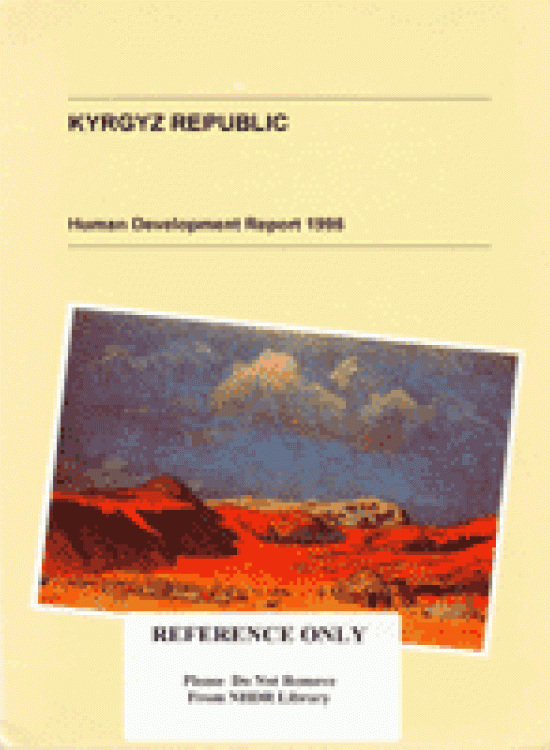 Publication report cover: General Human Development Report 1995