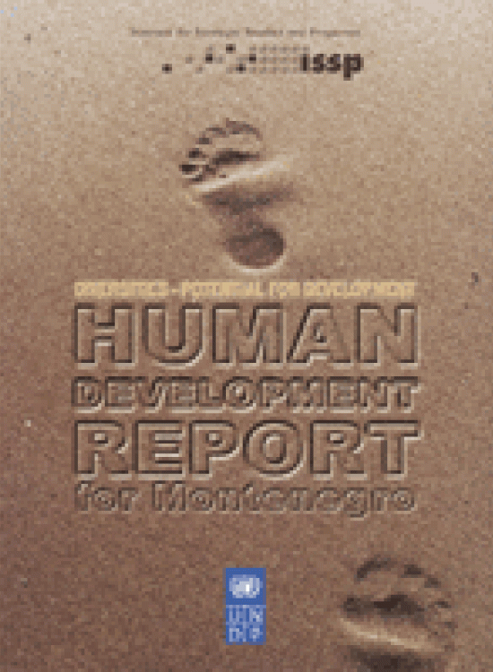 Publication report cover: Human Development Report - Montenegro