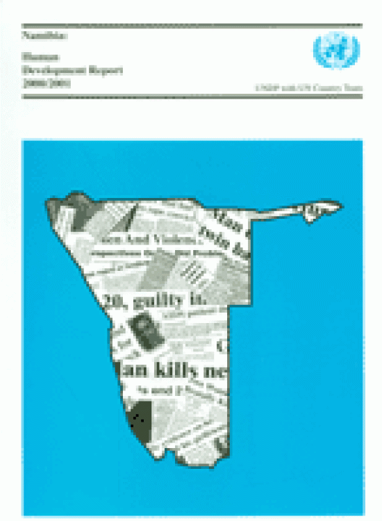 Publication report cover: Gender and Violence in Namibia