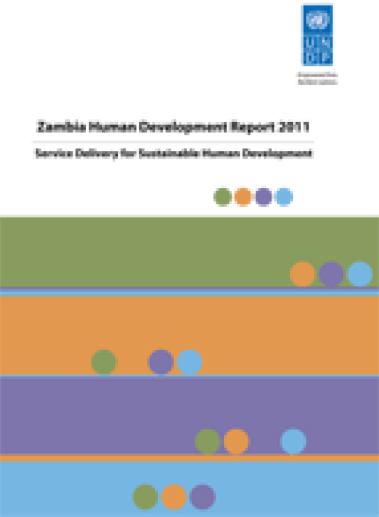 Publication report cover: Service Delivery for Sustainable Human Development