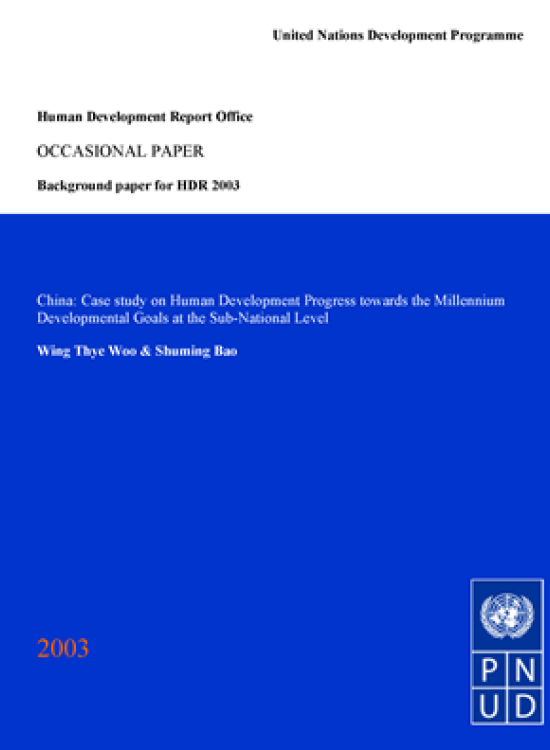 Publication report cover: China: Case study on Human Development Progress towards the Millennium Developmental Goals at the Sub-National Level