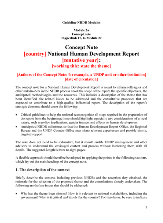 Publication report cover: National Human Development Report Concept Note Template