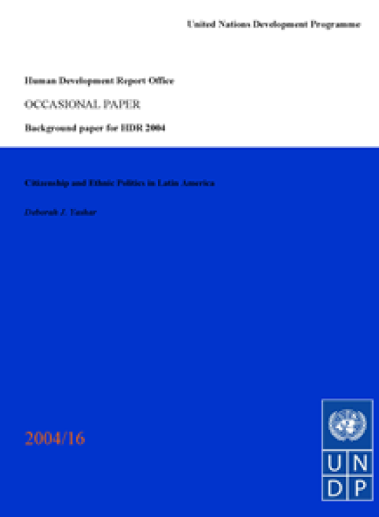 Publication report cover: Citizenship and Ethnic Politics in Latin America