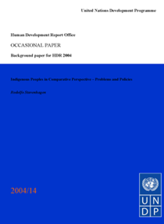 Publication report cover: Indigenous Peoples in Comparative Perspective