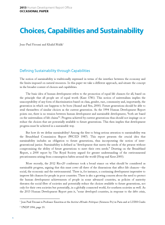 Publication report cover: Choices, Capabilities and Sustainability