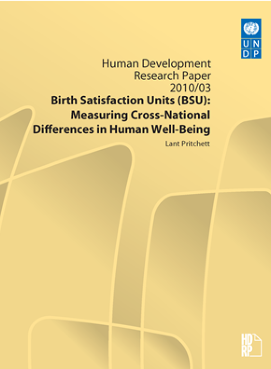 Publication report cover: Birth Satisfaction Units (BSU)