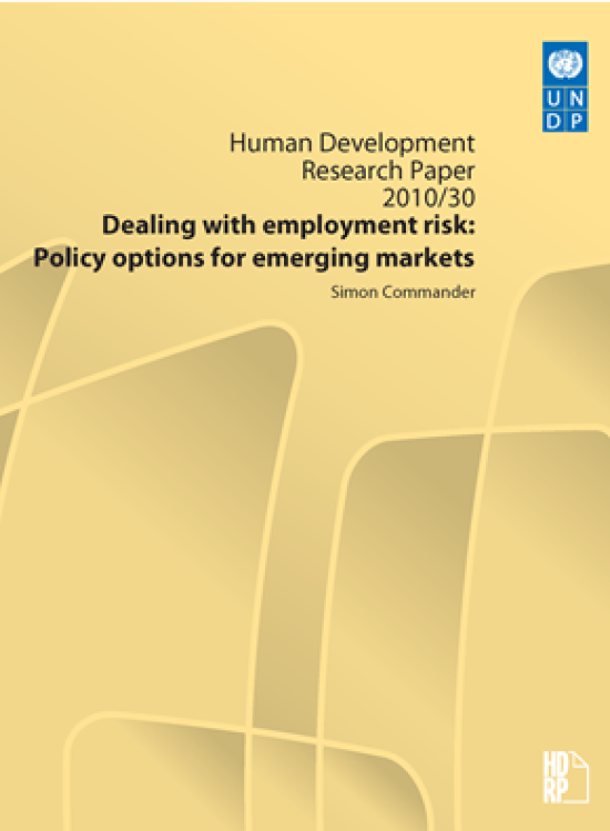 Publication report cover: Dealing with employment risk 