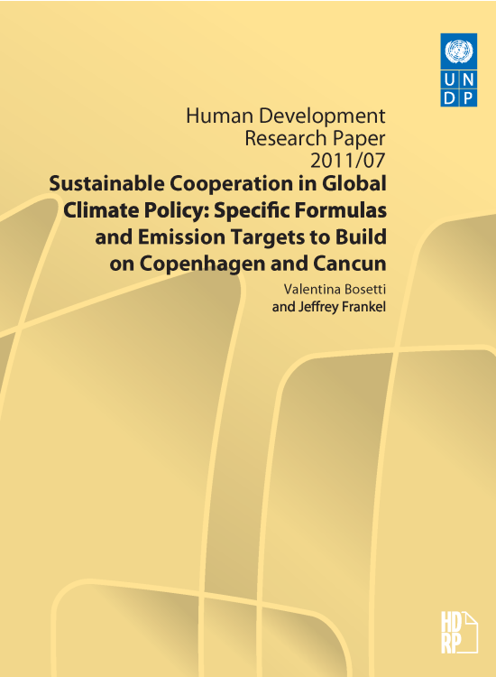 Publication report cover: Sustainable Cooperation in Global Climate Policy