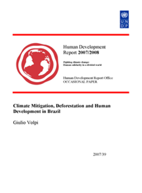Publication report cover: Climate Mitigation, Deforestation and Human Development in Brazil