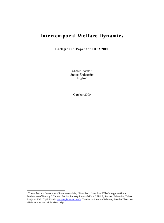 Publication report cover: Intertemporal Welfare Dynamics