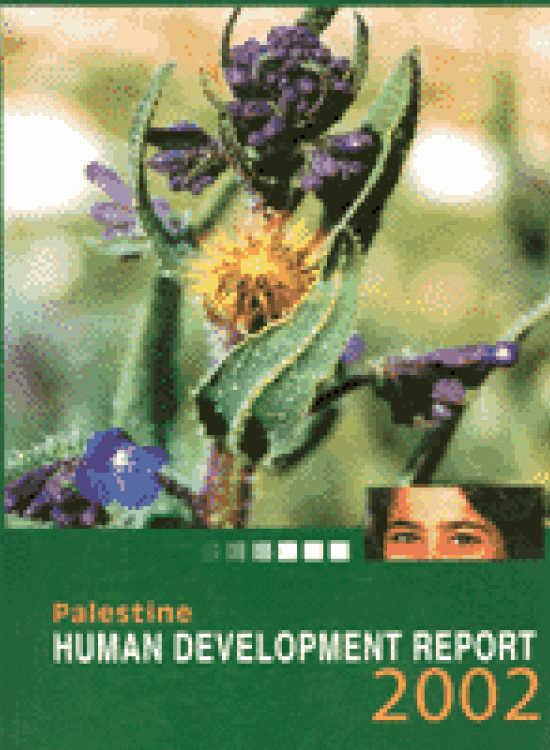 Publication report cover: Palestine Human Development Report 2002