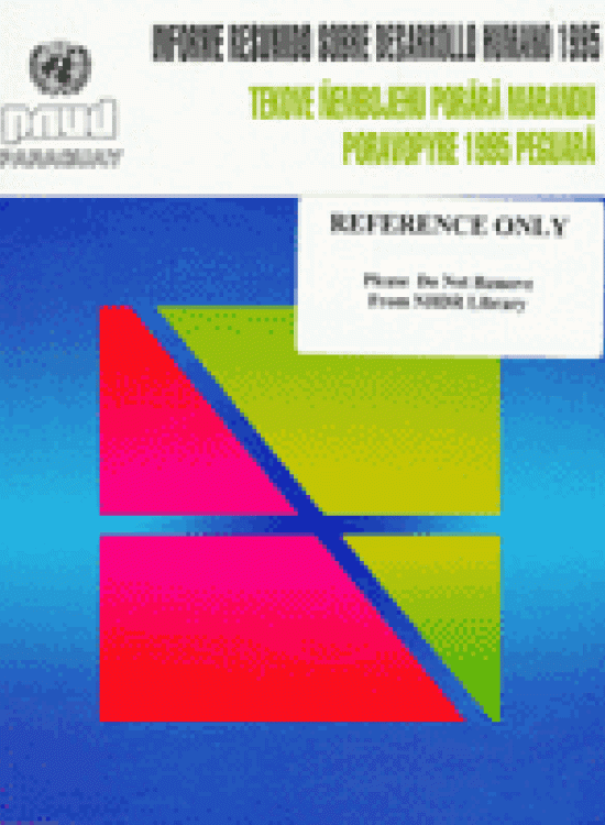 Publication report cover: Human Development Report on Gender Paraguay - 1995