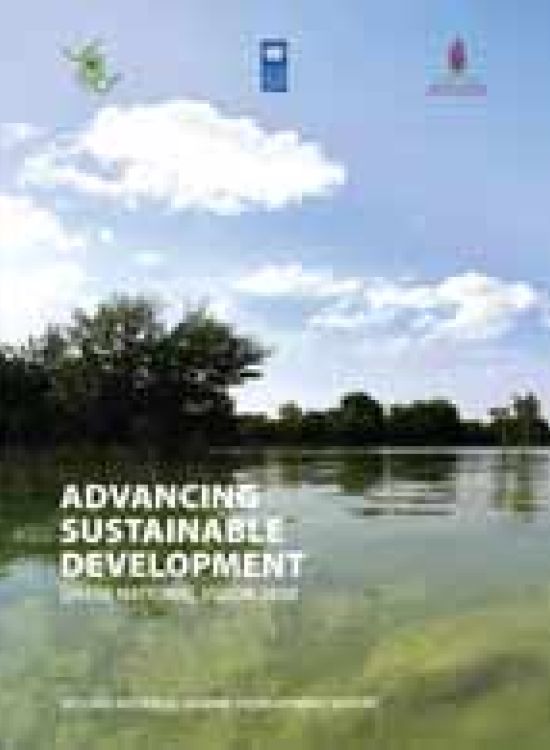 Publication report cover: Advancing Sustainable Development