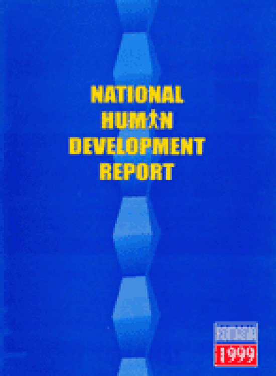 Publication report cover: Revision of the Achievements of the Country