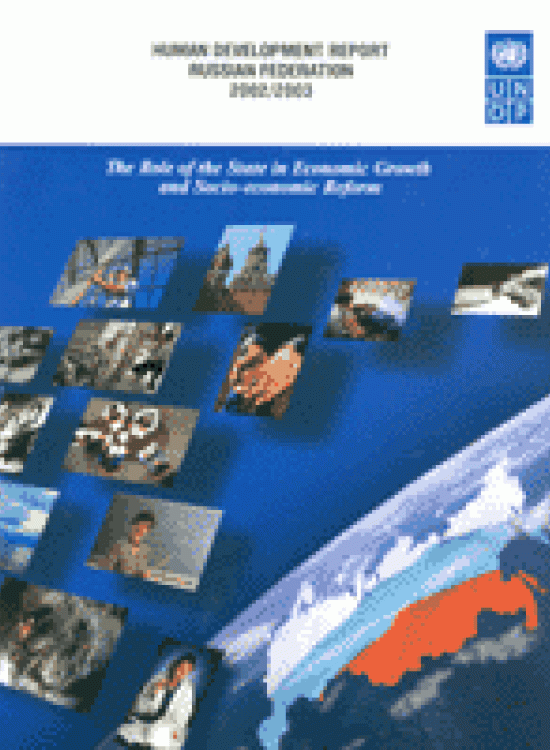 Publication report cover: The Role of the State in Economic Growth and Socio-economic Reform