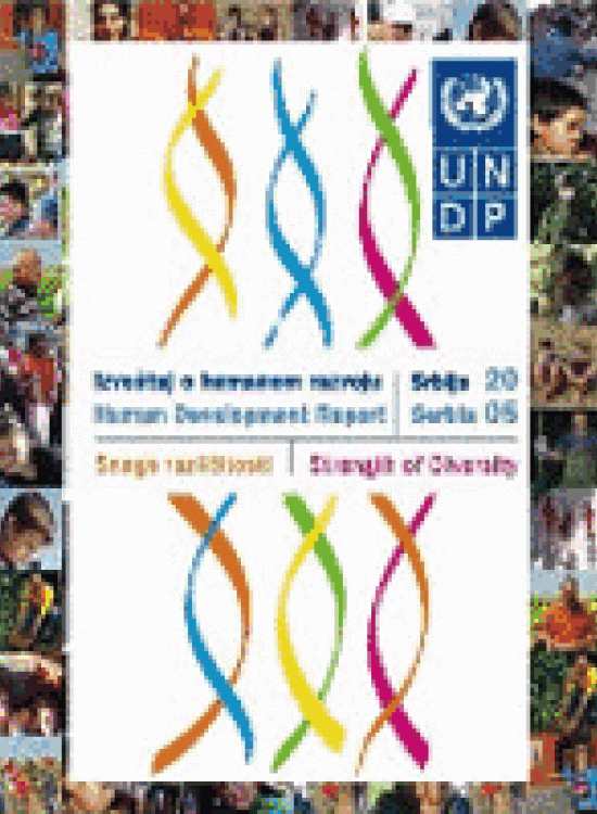 Publication report cover: Human Development Report Serbia 2005