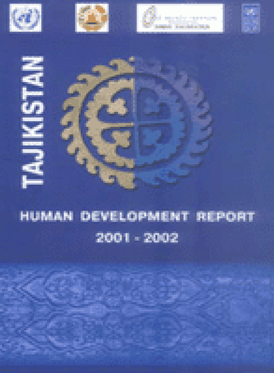 Publication report cover: Human Development Report 2001-2002