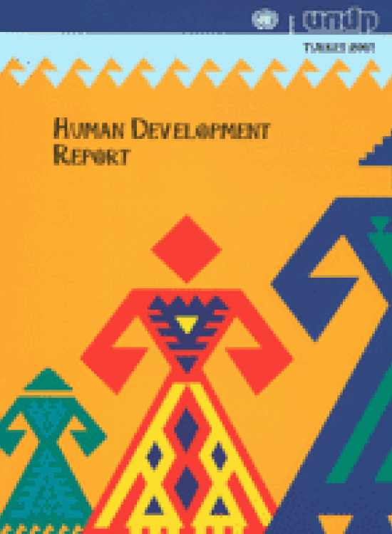 Publication report cover:  Measuring Turkey's Human Development Performance