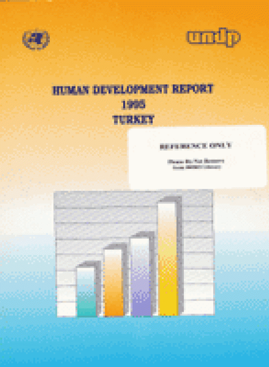 Publication report cover: Major Sustainable Human Development Challenges in Turkey