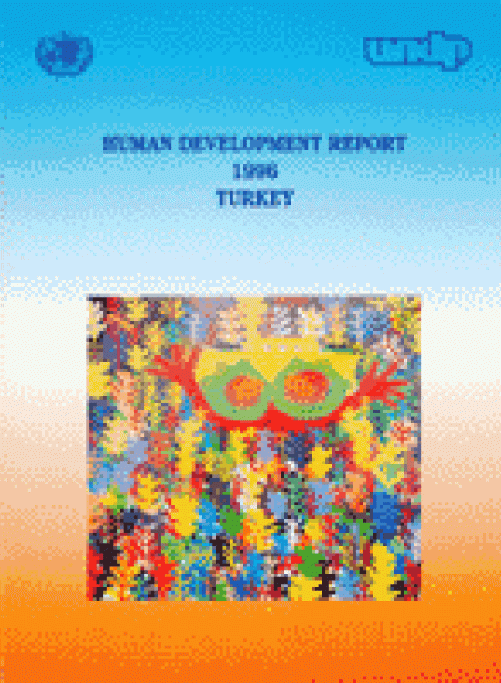 Publication report cover: Human Settlements and Eradication of Poverty
