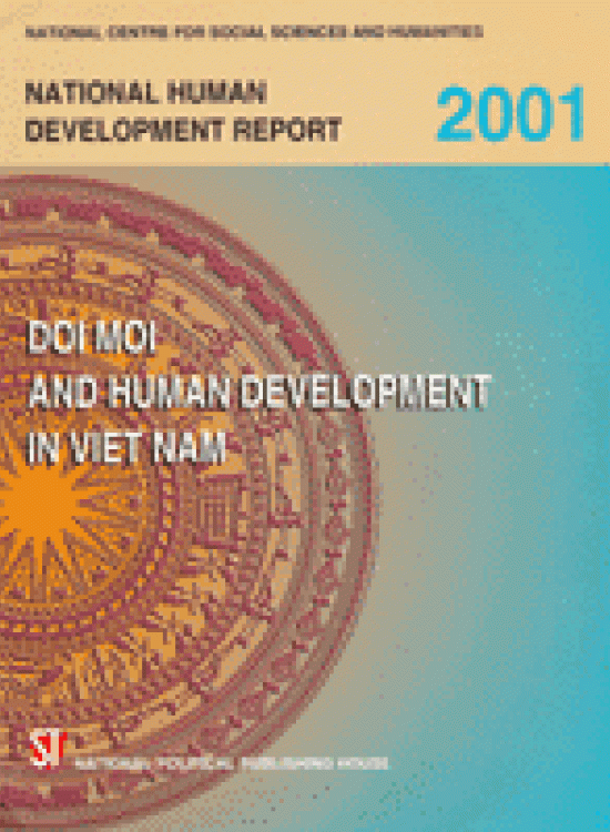 Publication report cover:  Doi Moi Process and Human Development