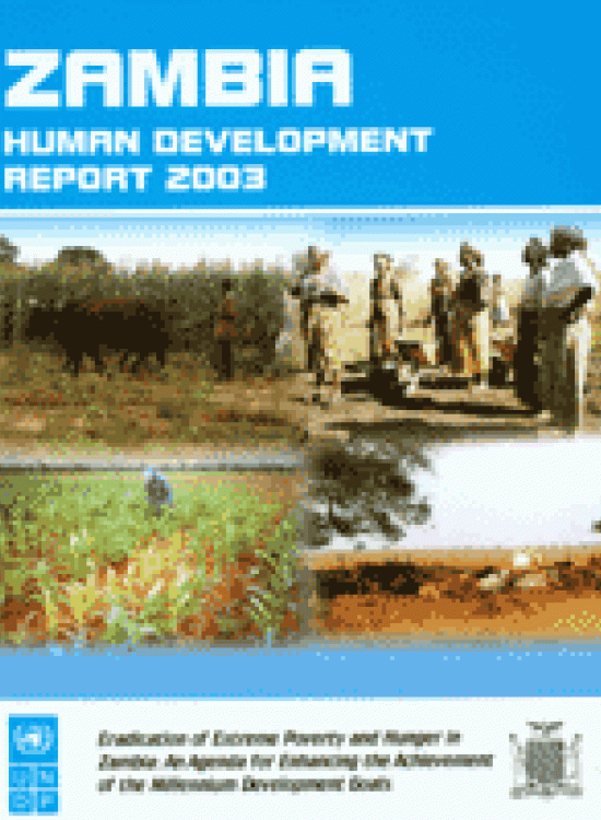 Publication report cover: The Reduction of Poverty and Hunger in Zambia: An Agenda for Enhancing the Achievement of the Millennium Development Goals