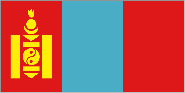 Flag for MNG
