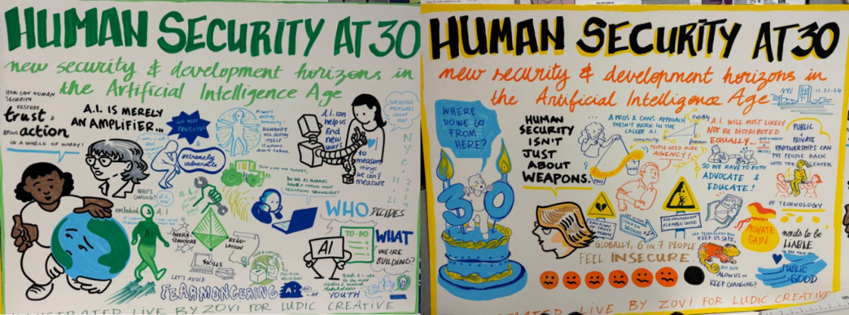 Human Security at 30 Banner