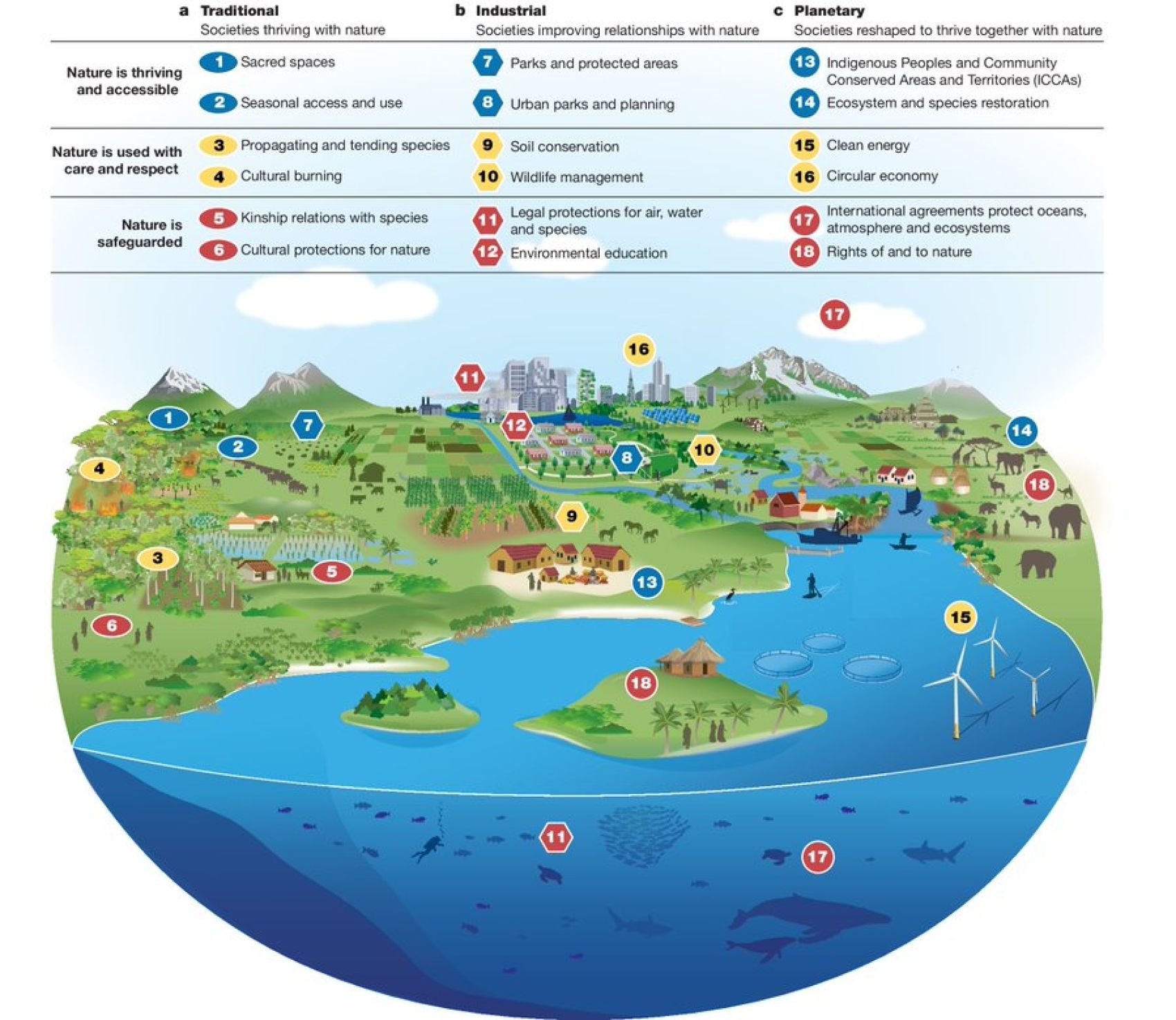 Figure: Healthy human relationships with nature are diverse, abundant, and continue to evolve.