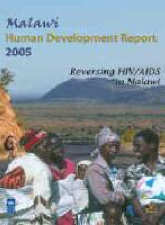 Publication report cover: Human Development Report 2005
