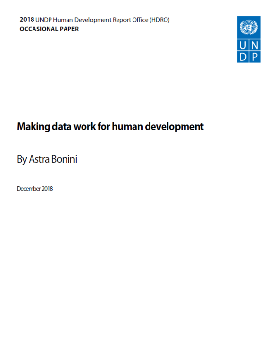 Publication report cover: Making data work for human development 