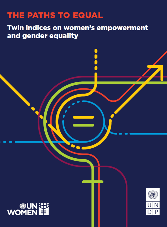 Publication report cover: The paths to equal