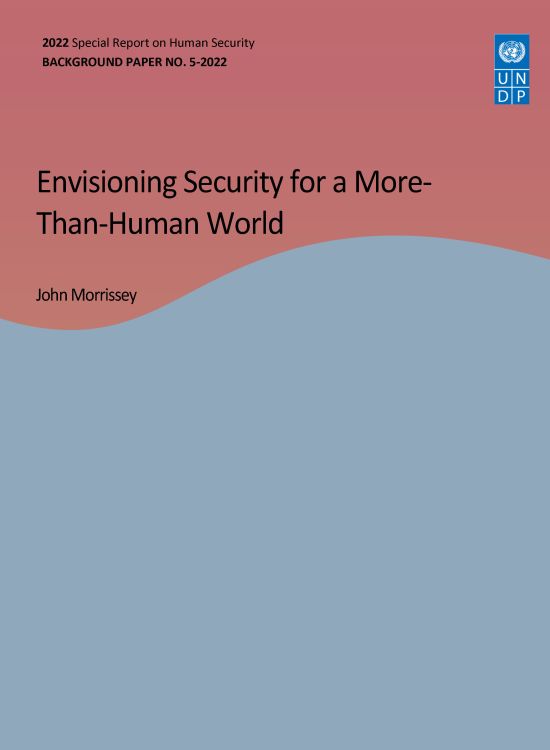 Publication report cover: Envisioning Security for a More-Than-Human World 