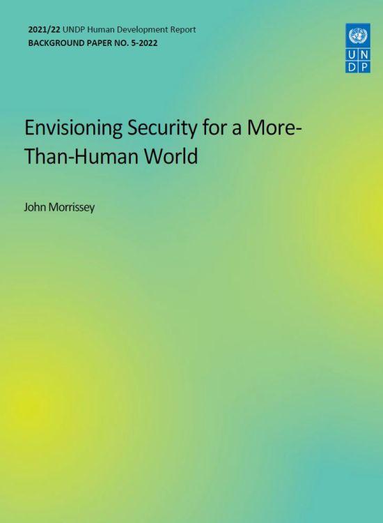 Publication report cover: Envisioning Security for a More-Than-Human World 