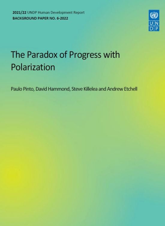 Publication report cover: The Paradox of Progress with Polarization  
