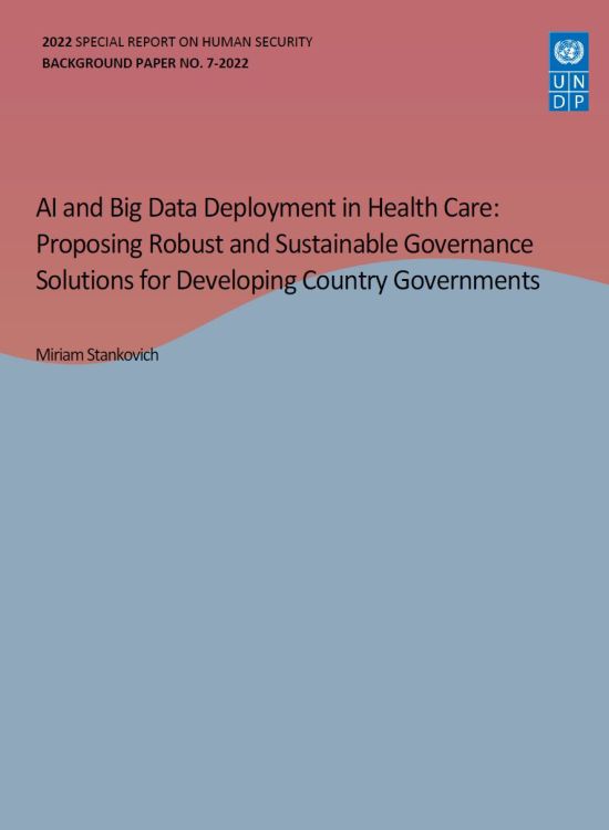Publication report cover: AI and Big Data Deployment in Health Care: Proposing Robust and Sustainable Governance Solutions for Developing Country Governments