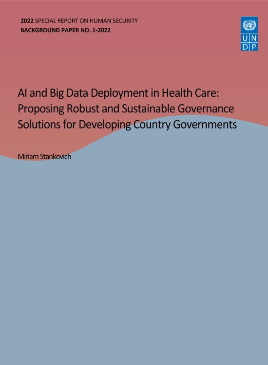 Publication report cover: AI and Big Data Deployment in Health Care: Proposing Robust and Sustainable Governance Solutions for Developing Country Governments